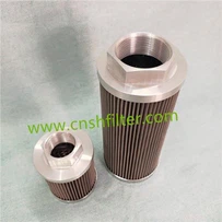 Filtro de succión HQ25.300.11Z