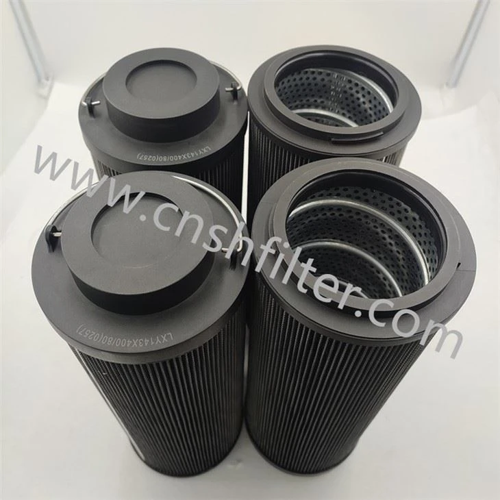 DFLQG-0041B-T1.6L400E1W80S1 Unidad de limpieza Elemento de filtro dúplex